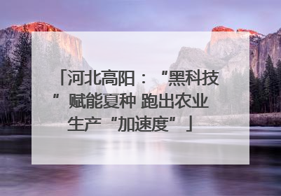 河北高阳：“黑科技”赋能夏种 跑出农业生产“加速度”